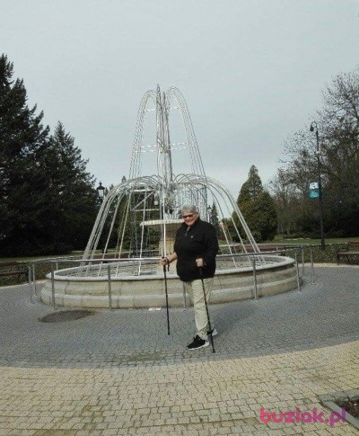Barbara, Kobieta, 70, Toruń, Polska, Zdjęcie: 3