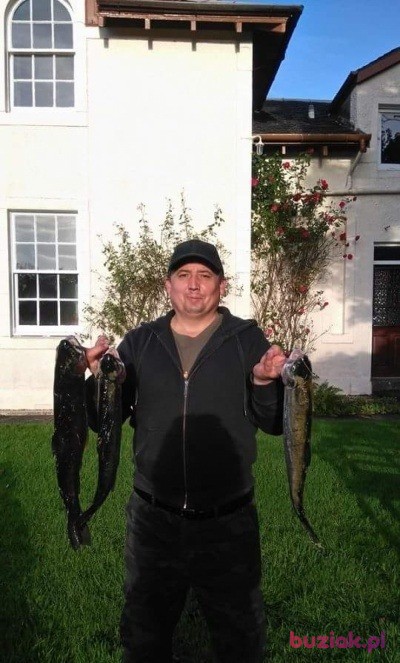Jarosław, Mężczyzna, 47, Częstochowa, Polska, Zdjęcie: 5