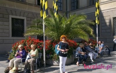 bacha52, Kobieta, 69, Będzin, Polska, Zdjęcie: 3