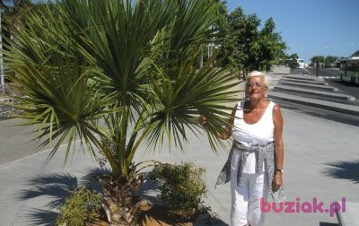 Grazyna, Female, 76, Zgierz, Polska, Photo: 3