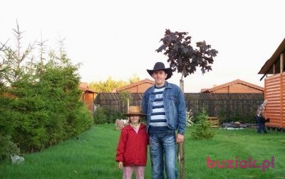 mariusz, Mężczyzna, 52, Mosina, Polska, Zdjęcie: 1