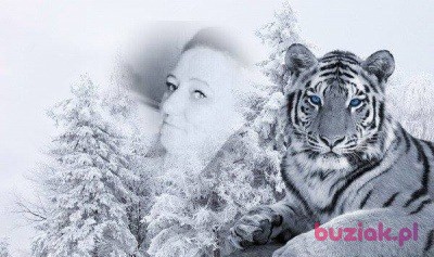 KAMILA, Kobieta, 45, Łódź, Polska, Zdjęcie: 7