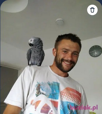 Przemek, Male, 38, Wielka Brytania: 1
