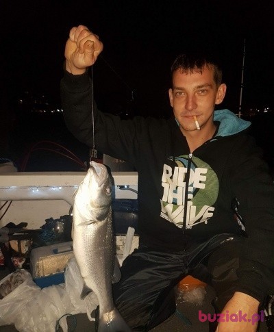 Arek, Male, 35, Wielka Brytania: 1