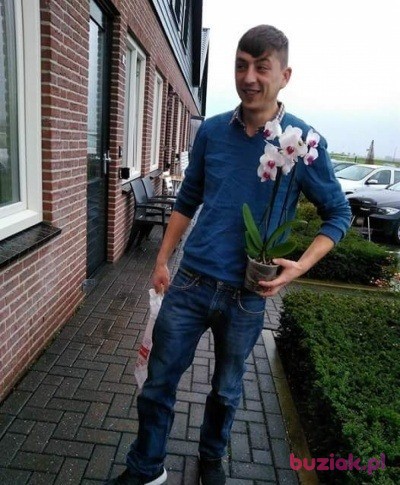 Sierhey Bubka, Mężczyzna, 36, Holandia, Zdjęcie: 3