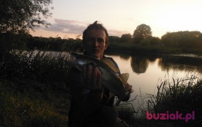 fesese, Male, 44, Polska: 1