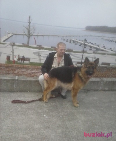 wiesek9, Mężczyzna, 67, Świnoujście, Polska, Zdjęcie: 1