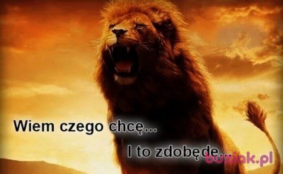 Jacek, Mężczyzna, 42, Wyszków, Polska, Zdjęcie: 3