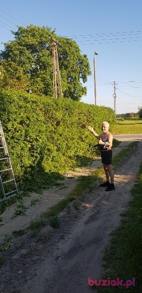 PIOTR, Male, 66, Bydgoszcz, Polska, Photo: 6