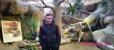 Norbert , Mężczyzna, 39, Rotterdam South Holland Province, Holandia: 1