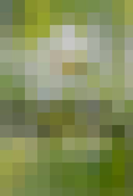 AdEkOR, Male, 36, Burton, Wielka Brytania: 1
