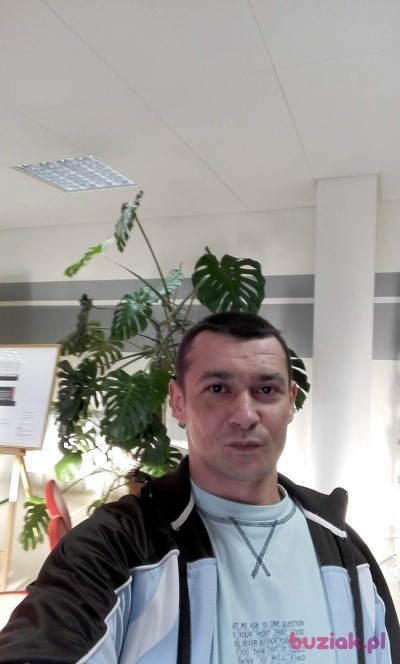 Tomasz, Male, 43, Jawor, Polska: 1