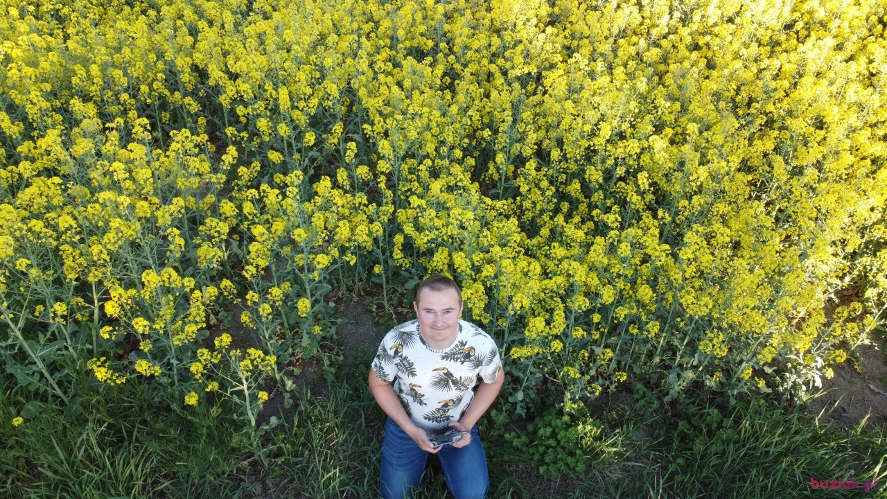 Michał, Mężczyzna, 36, Zgierz, Polska, Zdjęcie: 152