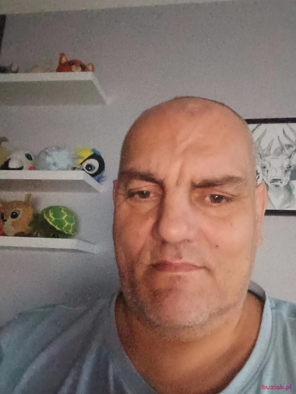 Robert, Mężczyzna, 52, Płock, Polska, Zdjęcie: 1