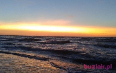 Mariusz, Mężczyzna, 46, Polska, Zdjęcie: 2
