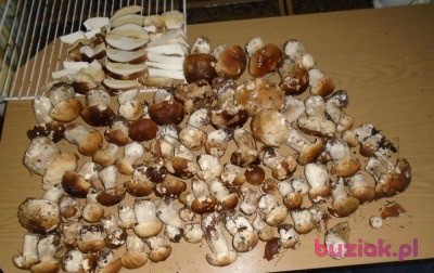 Czeslaw, Mężczyzna, 77, Ustrzyki Dolne, Polska, Zdjęcie: 4