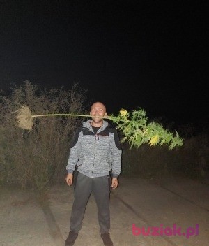 Marcin, Male, 33, Sulechów, Polska, Photo: 3