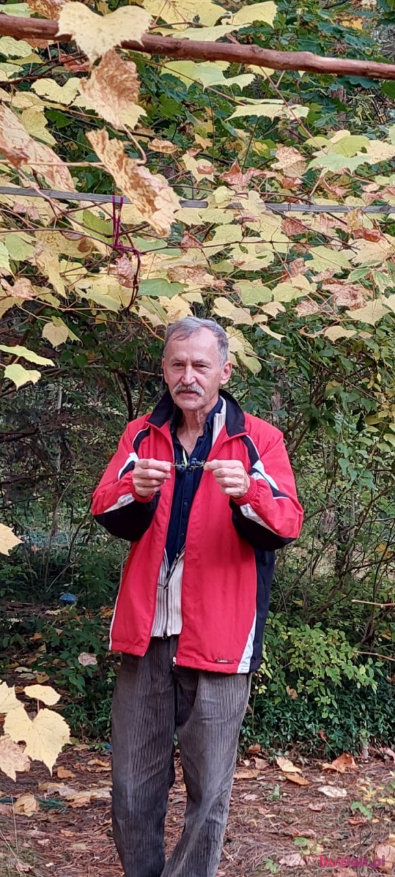 Darek, Mężczyzna, 64, Biała Podlaska, Polska, Zdjęcie: 1