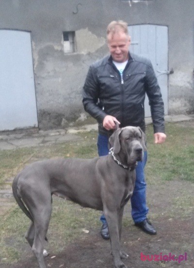 Zbyszek, Mężczyzna, 60, Turek, Polska, Zdjęcie: 2