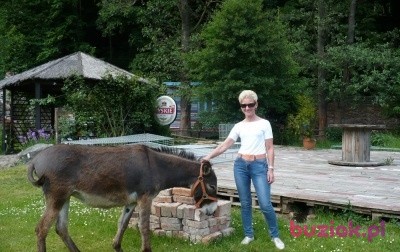 Elżbieta, Kobieta, 62, Goleniów, Polska, Zdjęcie: 2