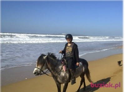 PawelwLondynie, Male, 46, Wielka Brytania, Photo: 4