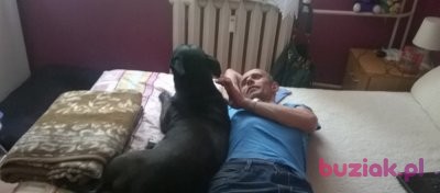 jacek4480, Mężczyzna, 51, Gdańsk, Polska, Zdjęcie: 2