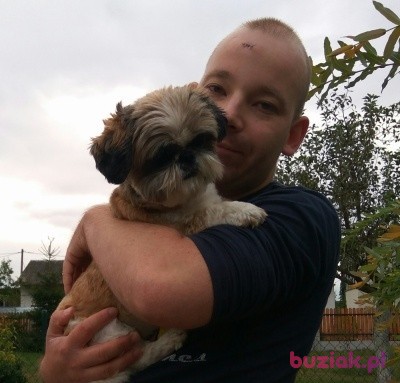 Bartosz, Male, 35, Katowice, Polska: 1