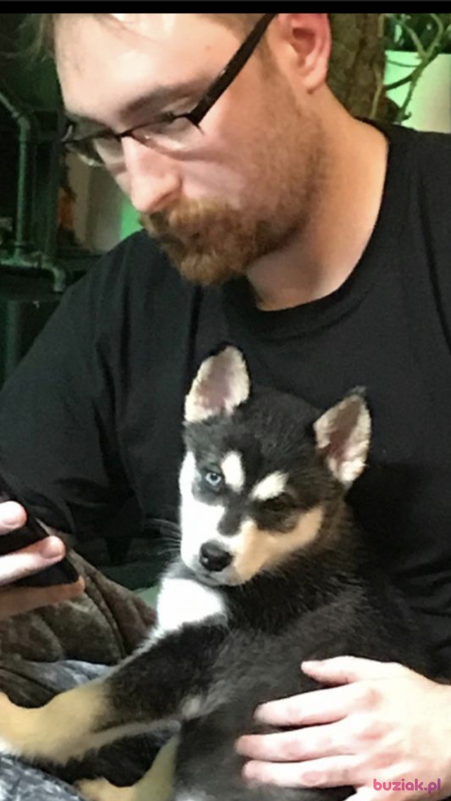 Adam, Mężczyzna, 32, Gloucester, Wielka Brytania: 1