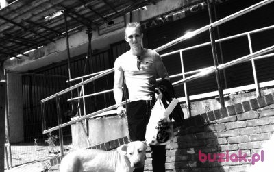 Dariusz, Male, 35, Wielka Brytania, Photo: 3