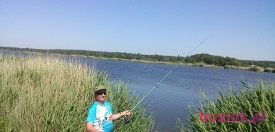 Stanisław, Male, 61, Chełm, Polska, Photo: 5