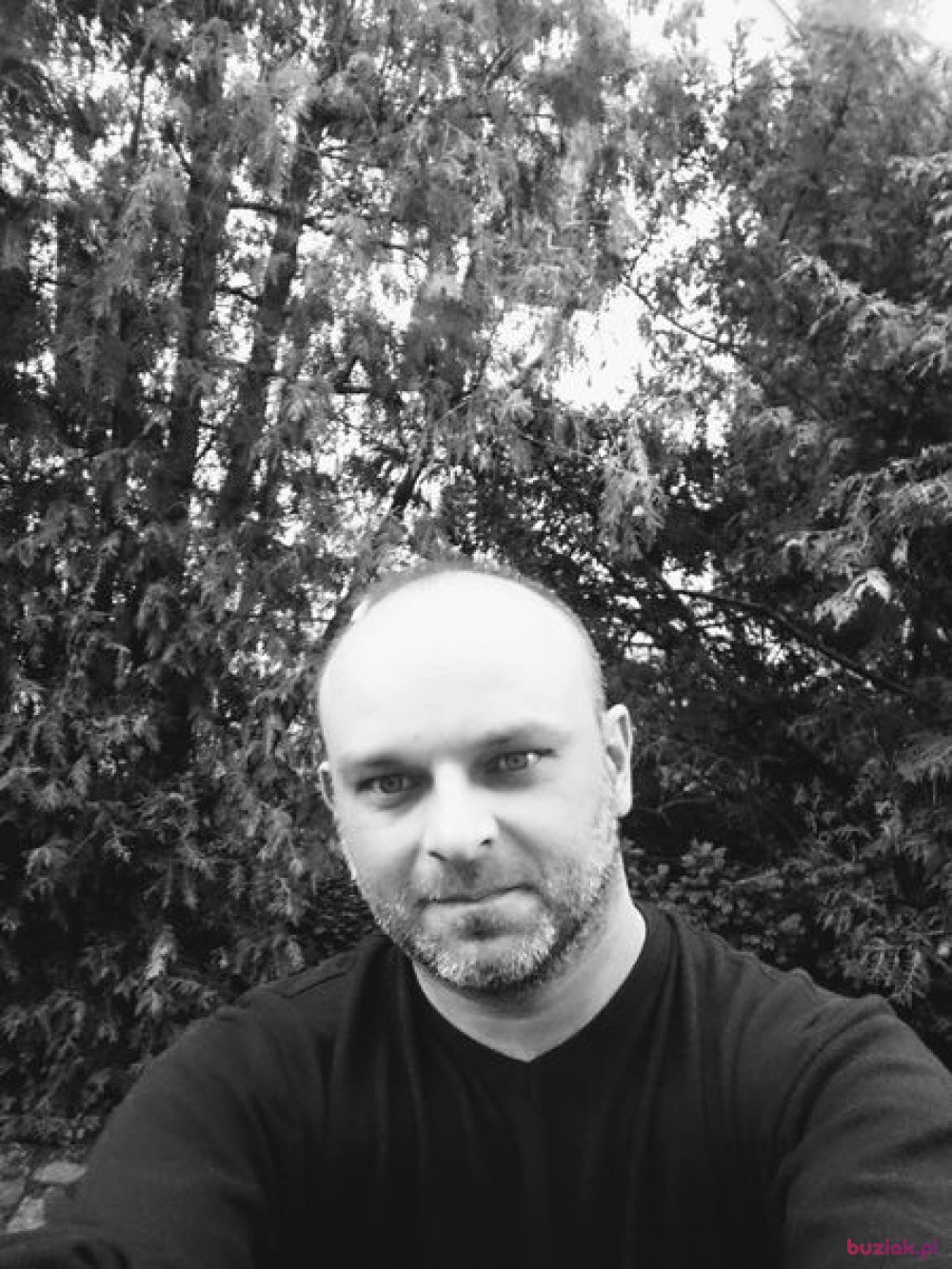 Przemo, Male, 48, Częstochowa, Polska, Photo: 1