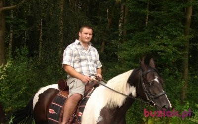 Sławek, Mężczyzna, 36, Chełmno, Polska: 1