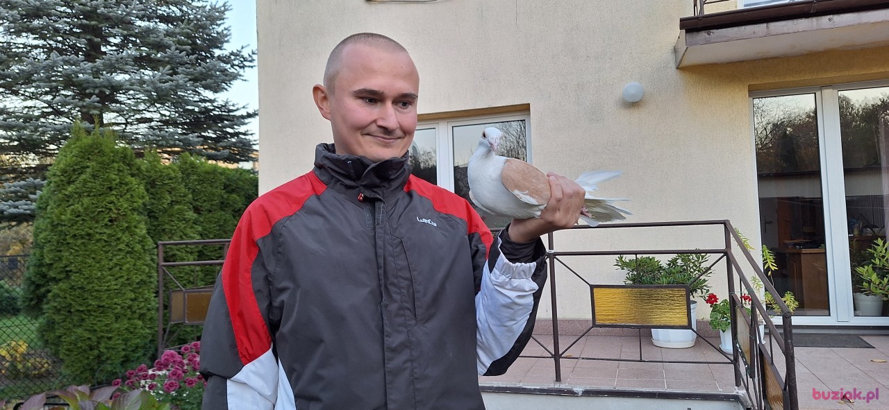 Michał, Mężczyzna, 36, Zgierz, Polska, Zdjęcie: 310