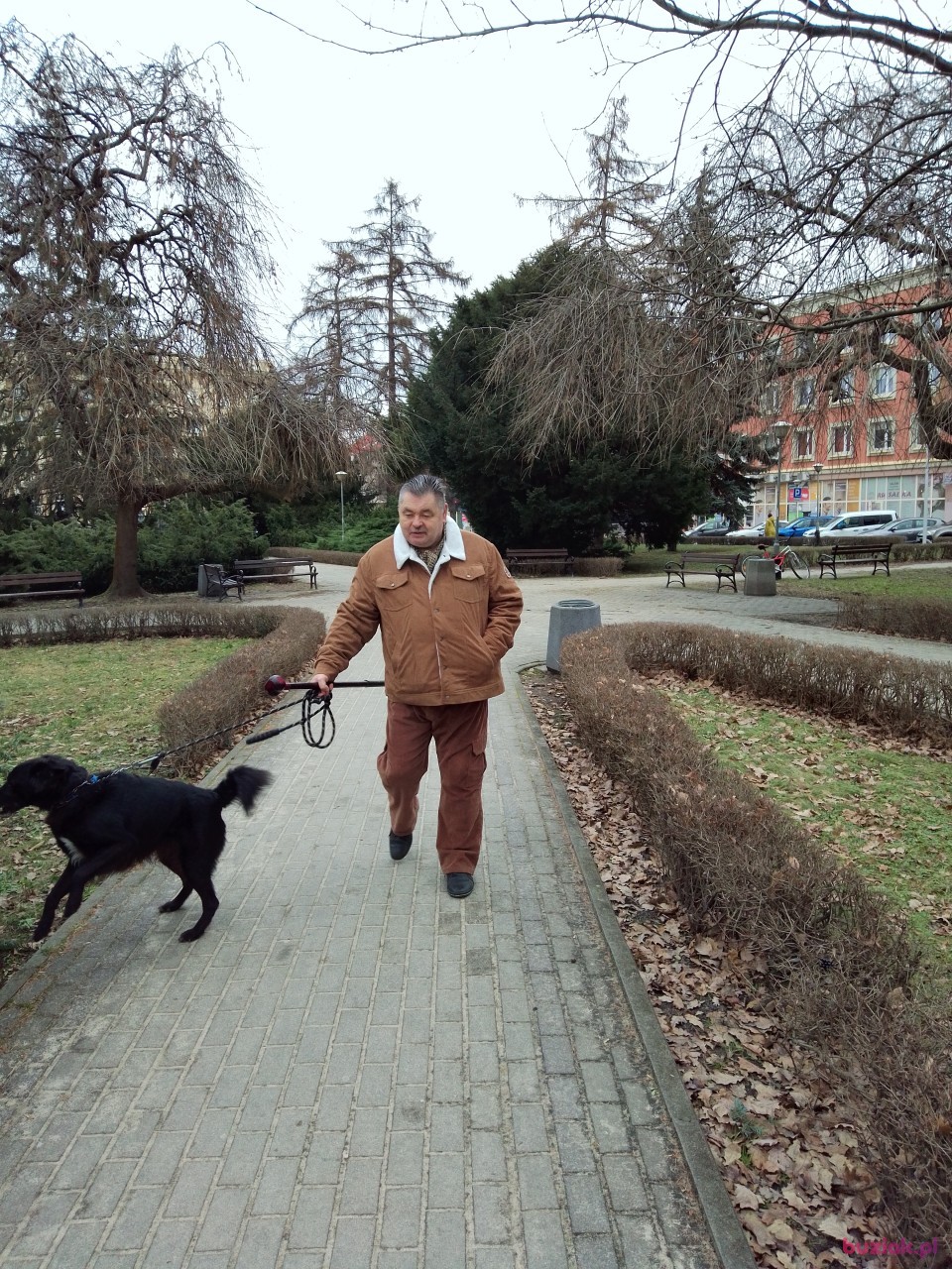 Grzegorz, Male, 65, Rzeszów, Polska, Photo: 10