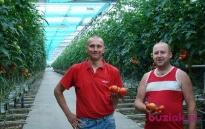 leszek, Male, 46, Lubań, Polska, Photo: 6