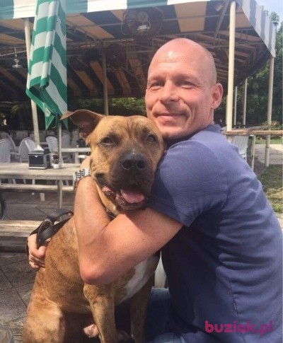 Carlbergner11, Mężczyzna, 62, Nashville Tennessee, USA: 1
