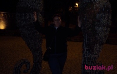 Gosia, Kobieta, 44, Jelenia Góra, Polska, Zdjęcie: 1