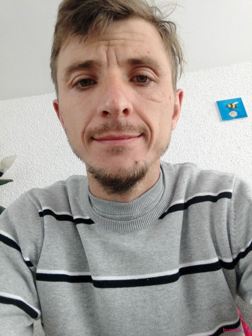Arczi, Male, 36, Holandia: 1