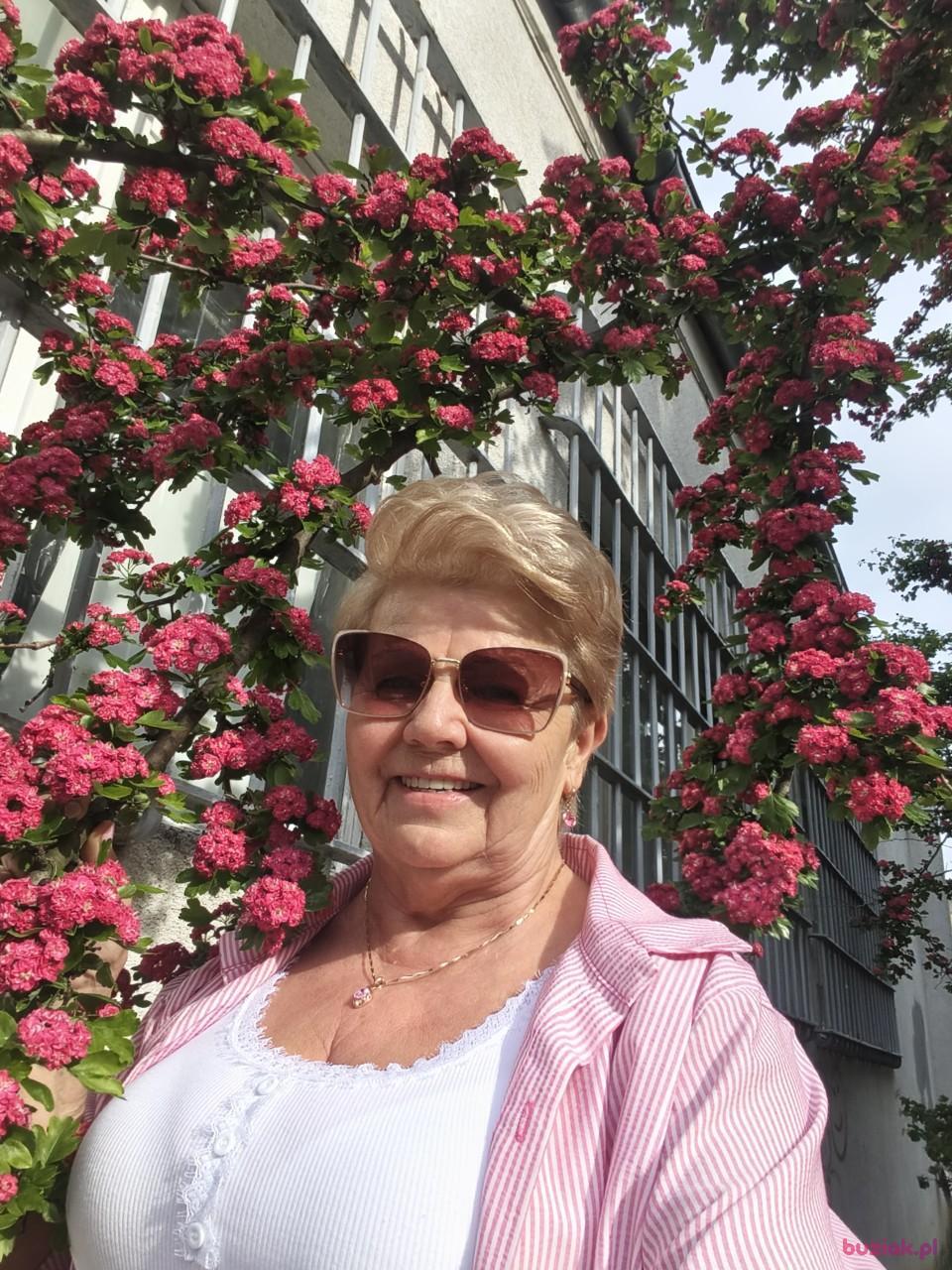 Aga, Kobieta, 65, Ostrów Wielkopolski, Polska, Zdjęcie: 2