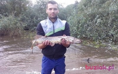 Damian, Male, 39, Andrychów, Polska, Photo: 2