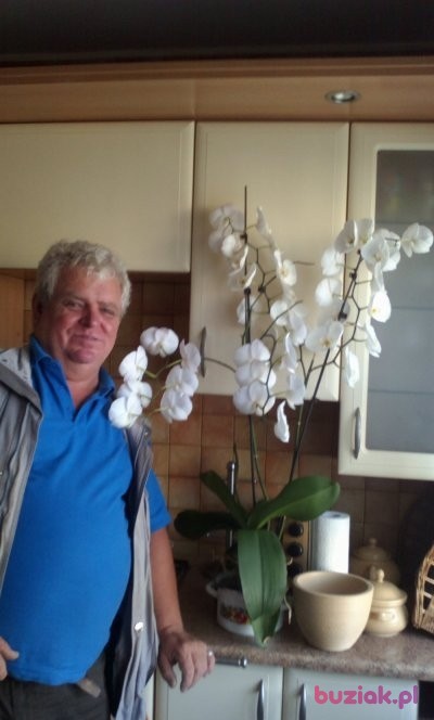 Rysiek196, Mężczyzna, 63, Wejherowo, Polska: 1