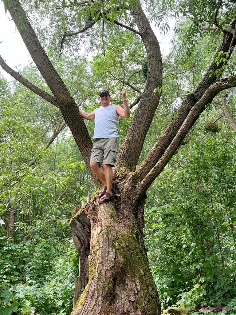 Andrzej, Male, 66, Greenwich Connecticut, USA, Photo: 1