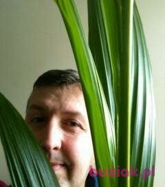 krzysztof, Male, 51, Krapkowice, Polska, Photo: 1