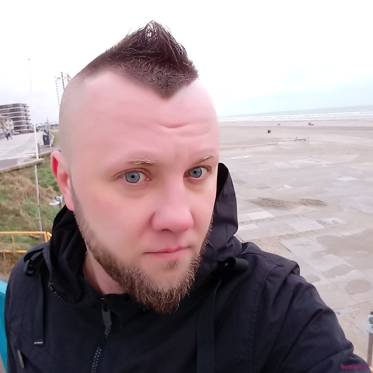 Dwa, Male, 39, Groningen, Holandia: 1