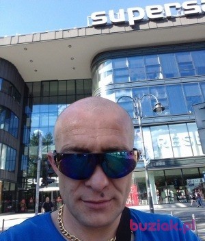 piotr, Mężczyzna, 42, Tilburg, Holandia, Zdjęcie: 5