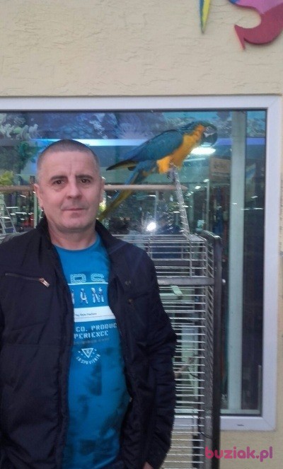 Zbigniew, Male, 55, Gliwice, Polska, Photo: 8