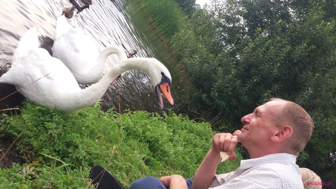 Piotrek, Mężczyzna, 44, Olsztyn, Polska: 1