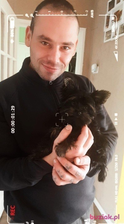 patryk, Male, 37, Zwolle, Holandia, Photo: 3