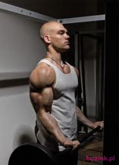 Kamil, Male, 29, Słupsk, Polska: 1