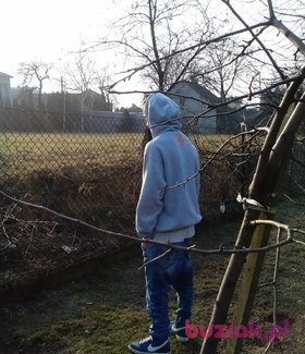 tomek, Male, 30, Bielsko-Biała, Polska, Photo: 3